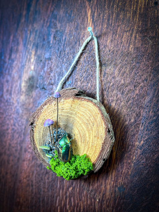 Spores & Remains No. 3 – Green June Beetle Mixed Media Wall Art